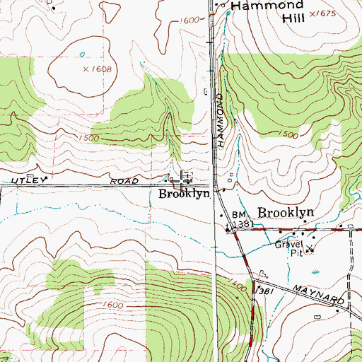 Topographic Map of Brooklyn School (historical), NY