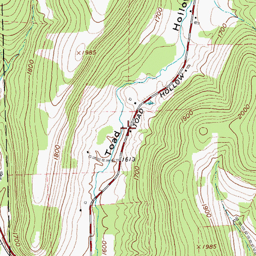 Topographic Map of Toad Hollow School (historical), NY