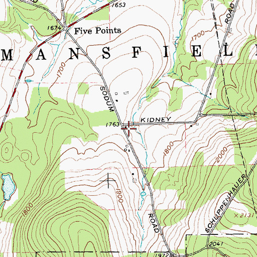 Topographic Map of Five Points School (historical), NY
