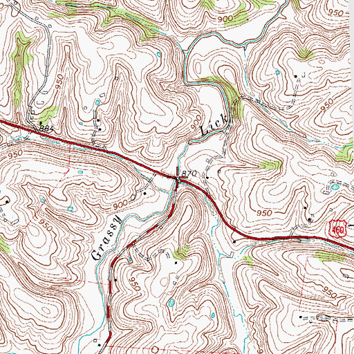Topographic Map of Grassy Lick Bridge, KY