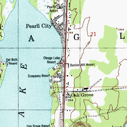 Topographic Map of Peace Lutheran Church, MI