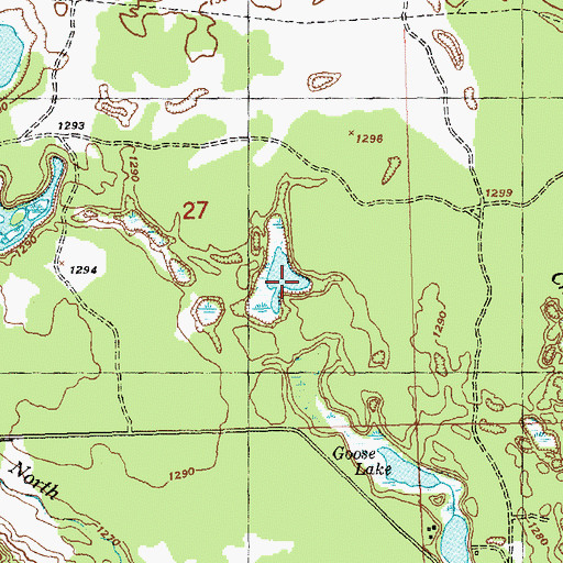 Topographic Map of Coot Lake, MI