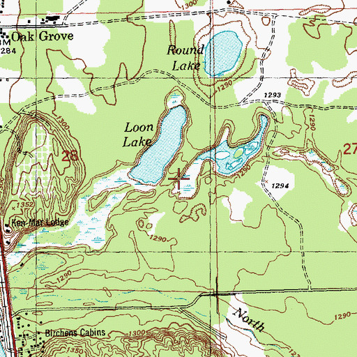 Topographic Map of The Loon Golf Course, MI
