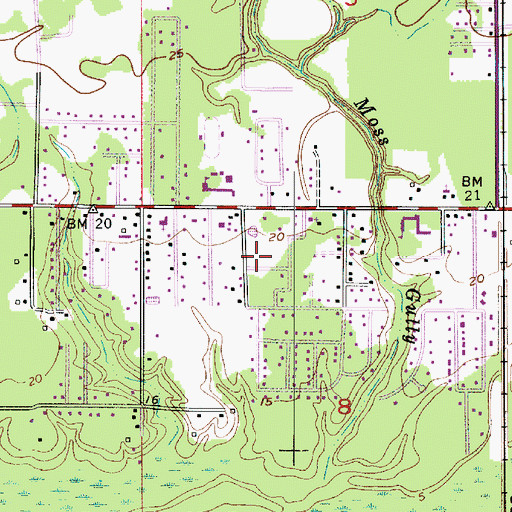 Topographic Map of Saint Theodore Holy Family Catholic School, LA