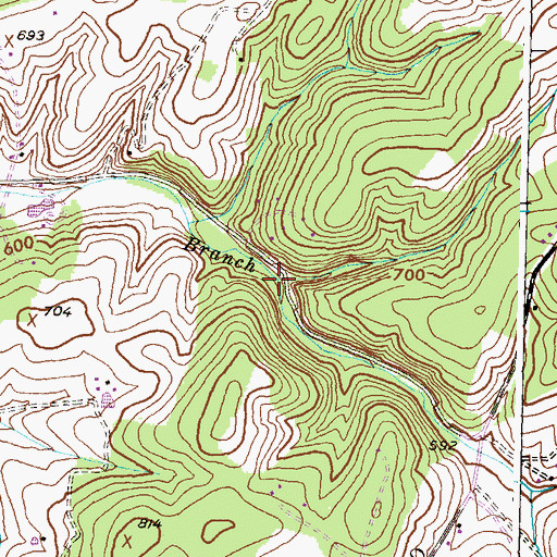 Topographic Map of Flickinger Branch, MD