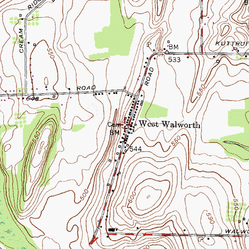 Topographic Map of West Walworth Cemetery, NY
