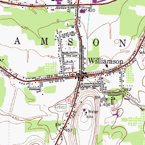Topographic Map of Williamson Presbyterian Church, NY