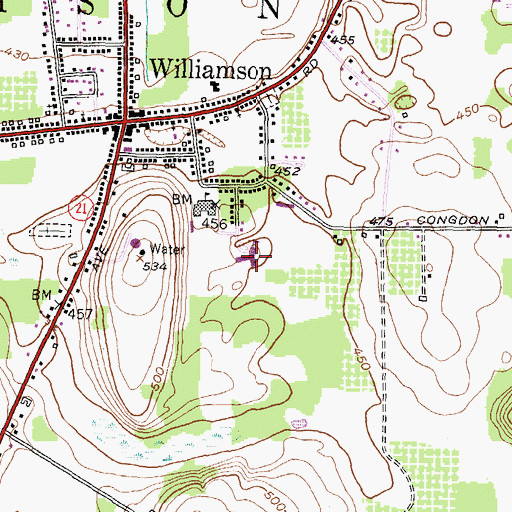 Topographic Map of Williamson Elementary School, NY
