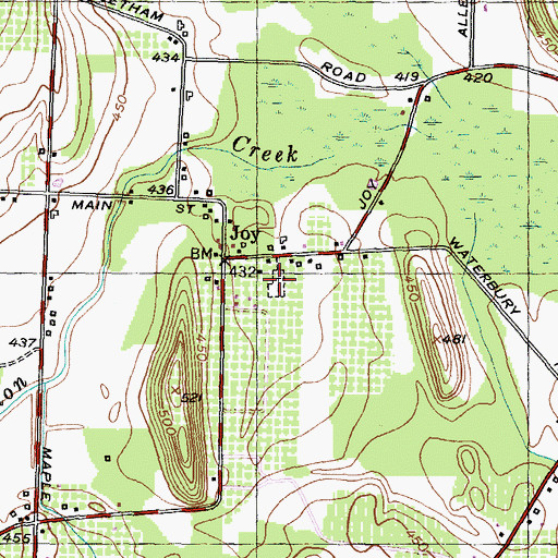 Topographic Map of Joy Cemetery, NY