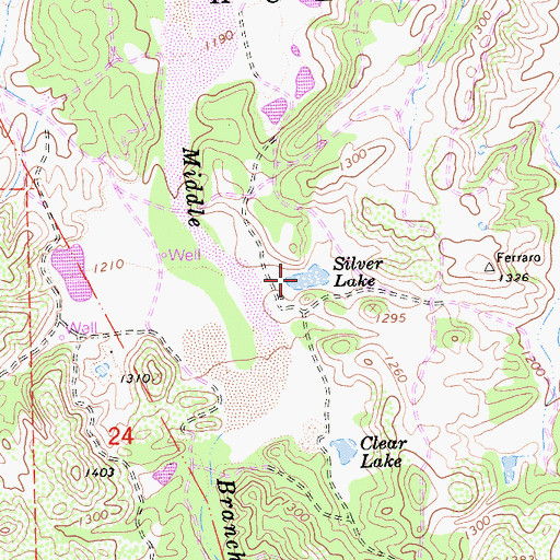Topographic Map of Silver Lake, CA