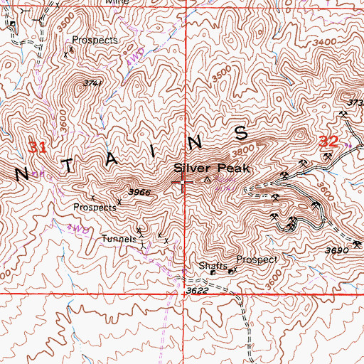 Topographic Map of Silver Peak, CA