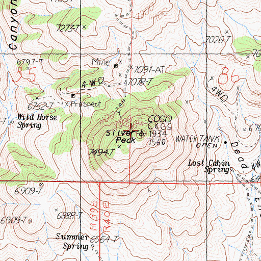 Topographic Map of Silver Peak, CA