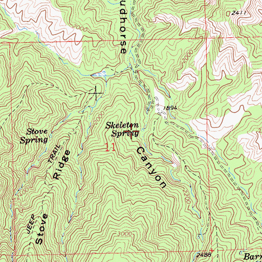 Topographic Map of Skeleton Spring, CA