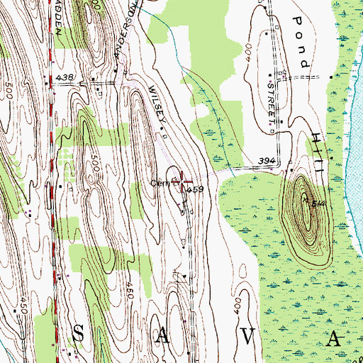 Topographic Map of Wilsey Farm Cemetery, NY