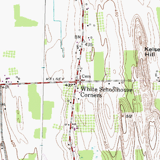 Topographic Map of White Schoolhouse Cemetery (historical), NY