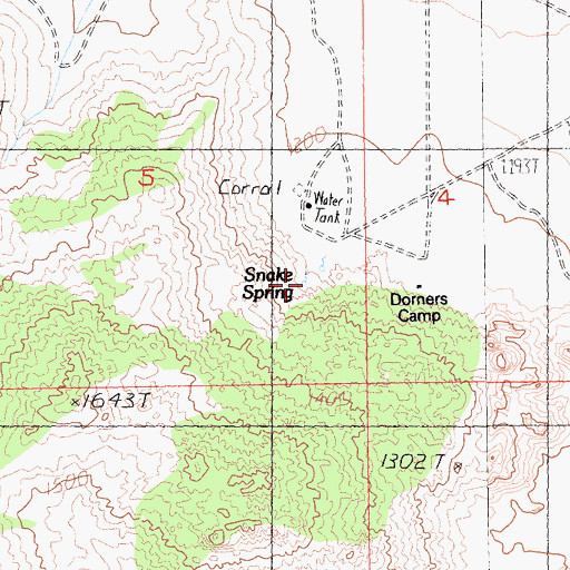 Topographic Map of Snake Spring, CA