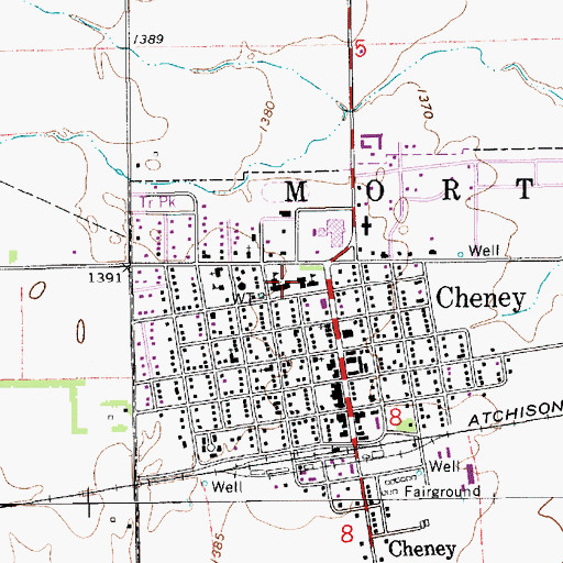 Topographic Map of Cheney Elementary School, KS