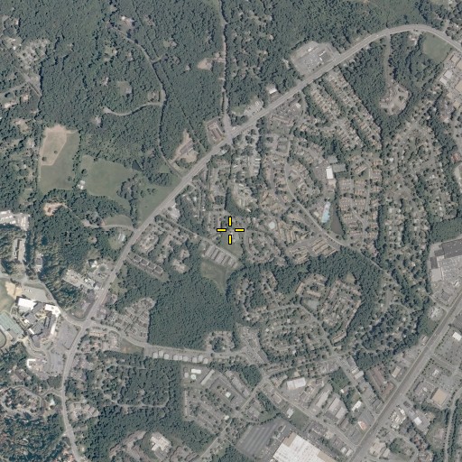 Aerial/Satellite Image of Einstein School, VA