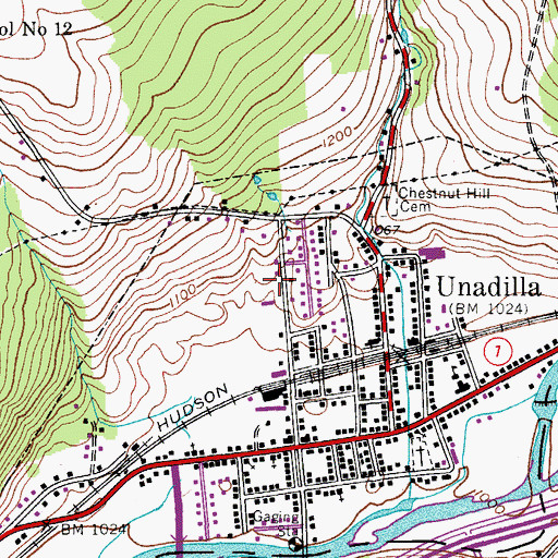 Topographic Map of Unadilla Fire Department, NY