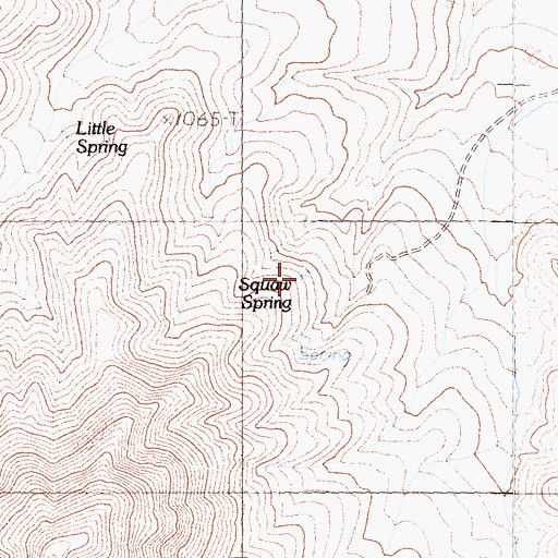 Topographic Map of Squaw Spring, CA