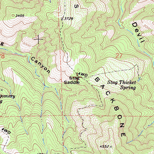 Topographic Map of Stag Saddle, CA