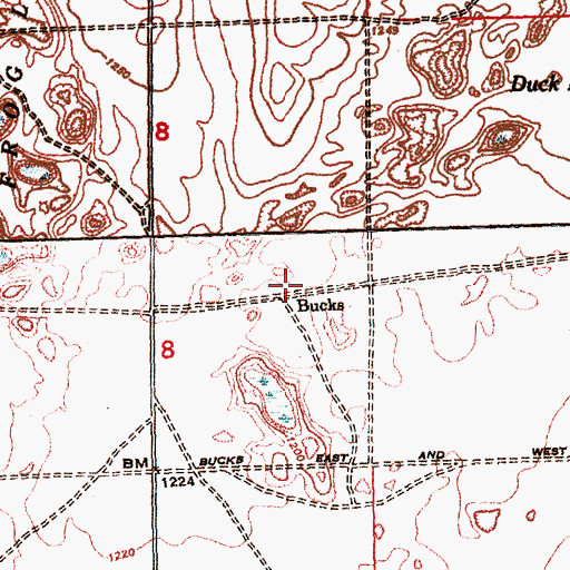 Topographic Map of Bucks Station (historical), MI