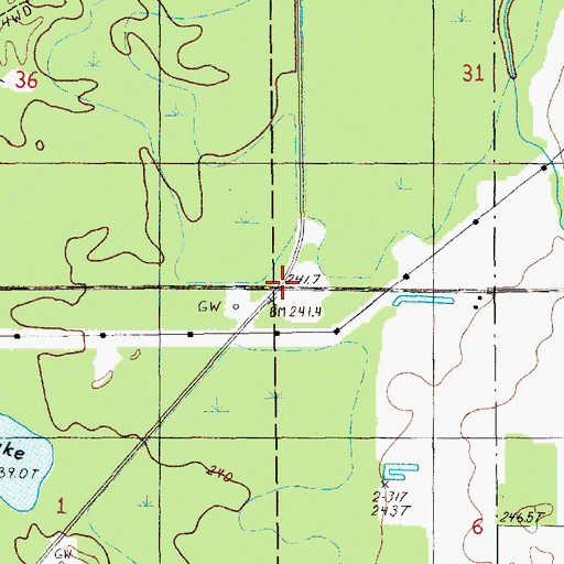 Topographic Map of Lemon Lake Station (historical), MI