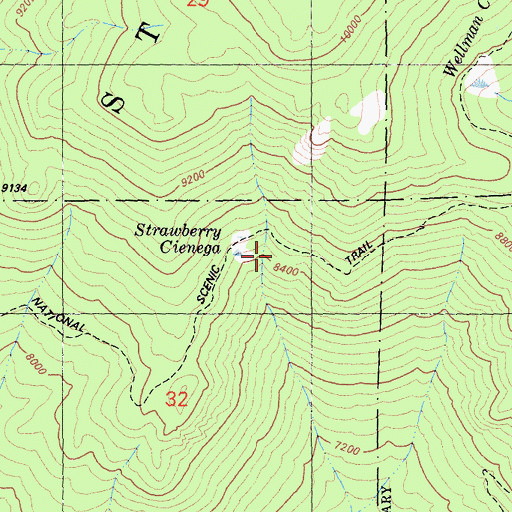 Topographic Map of Strawberry Cienaga, CA