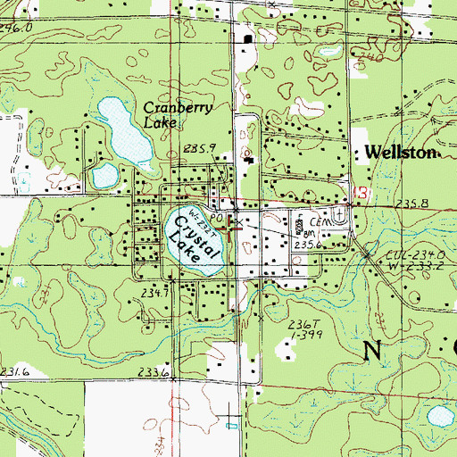 Topographic Map of Wellston Station (historical), MI