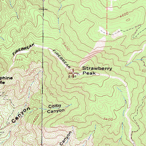 Topographic Map of Strawberry Peak, CA