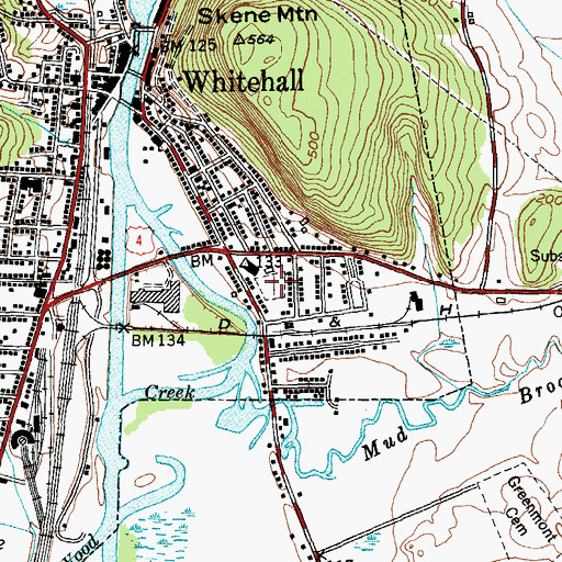 Topographic Map of Williams Street Cemetery, NY