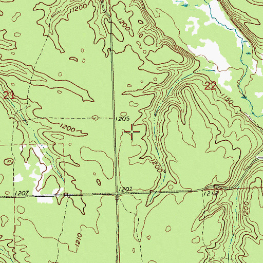 Topographic Map of Mount Pindus Cemetery, MI
