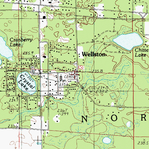 Topographic Map of Wellston Cemetery, MI