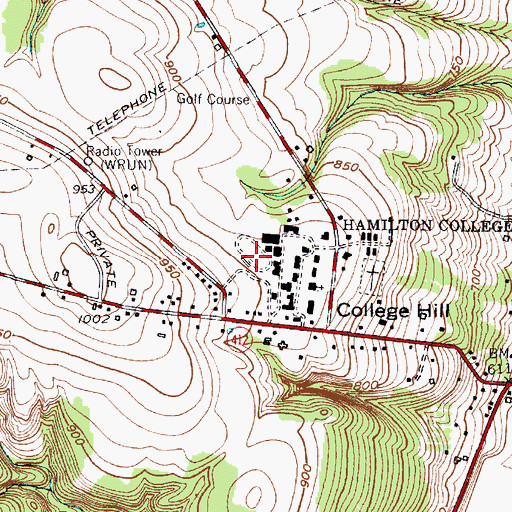 Topographic Map of Steuben Field, NY