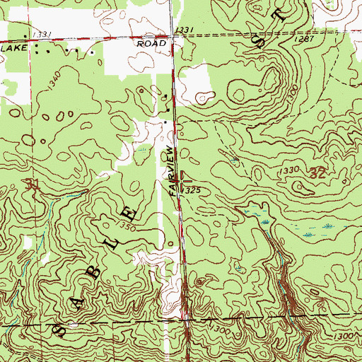 Topographic Map of Church of Jesus Christ of Latter Day Saints, MI