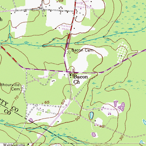 Topographic Map of Baconton Missionary Baptist Church, GA