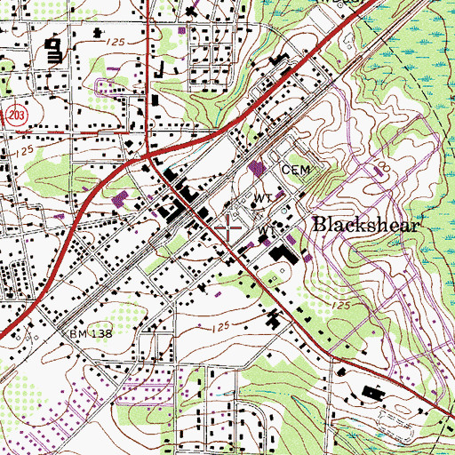 Topographic Map of Blackshear Presbyterian Church, GA
