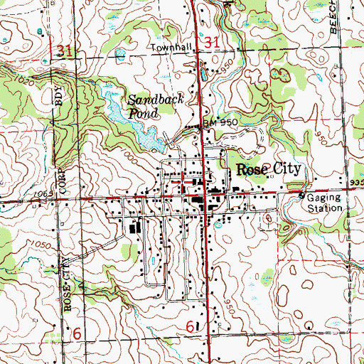 Topographic Map of Rose City Post Office, MI