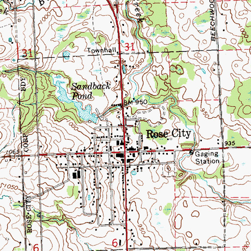 Topographic Map of Rose City Police Department, MI