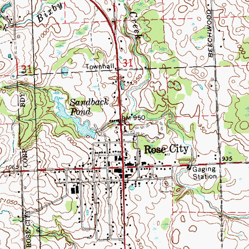 Topographic Map of Rose City City Hall, MI
