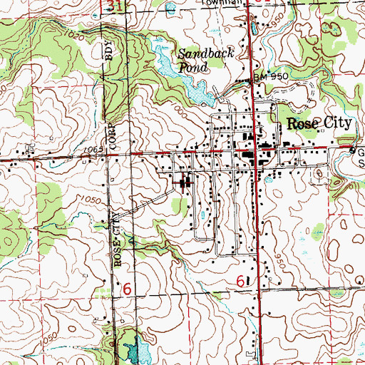 Topographic Map of Rose City Elementary School, MI