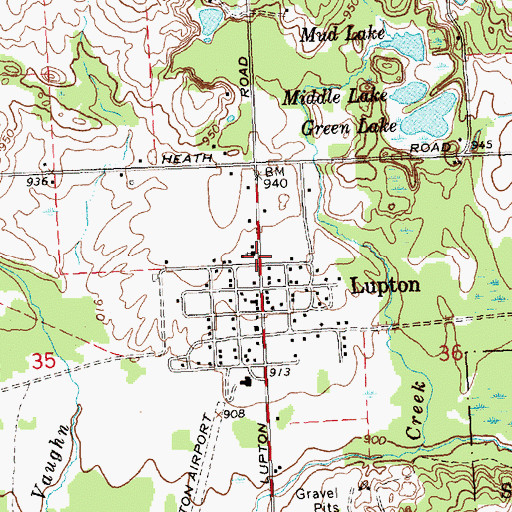Topographic Map of Lupton Friends Church, MI