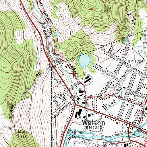 Topographic Map of Walton Fire Department, NY