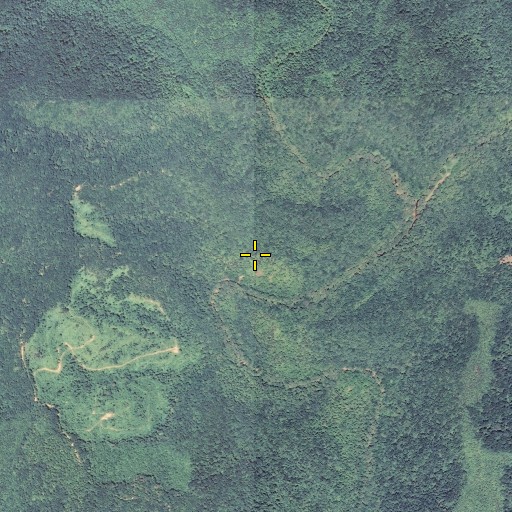 Aerial/Satellite Image of Loam Post Office (historical), KY