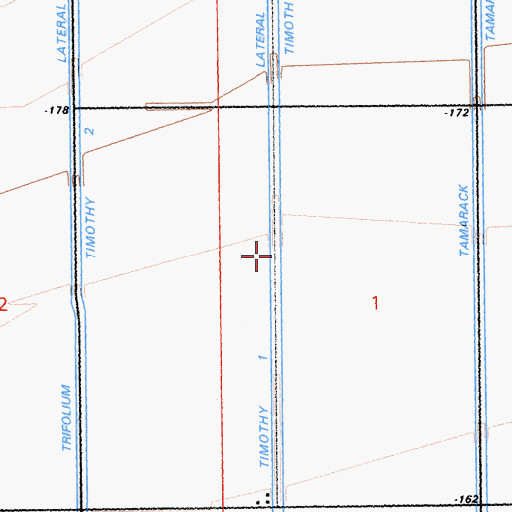 Topographic Map of Timothy Lateral, CA