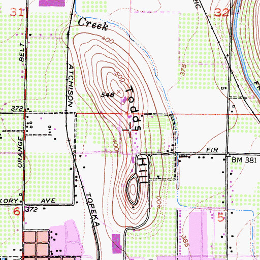 Topographic Map of Todds Hill, CA