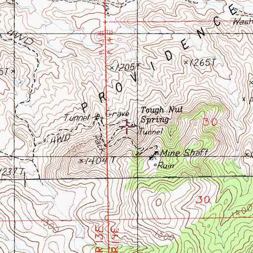 Topographic Map of Tough Nut Spring, CA