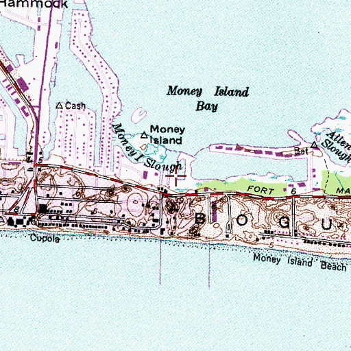 Topographic Map of Anchorage Marina, NC