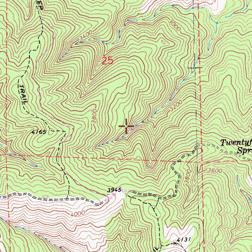 Topographic Map of Twentyfive Spring, CA