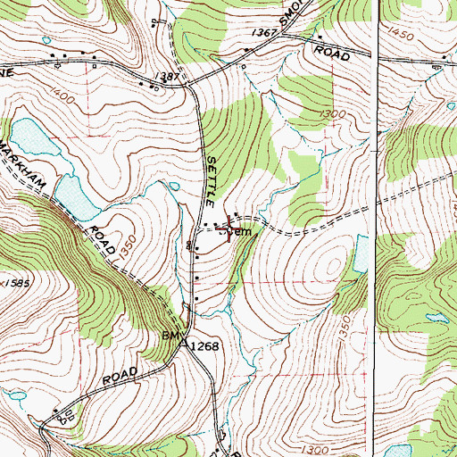 Topographic Map of Settle Cemetery, NY
